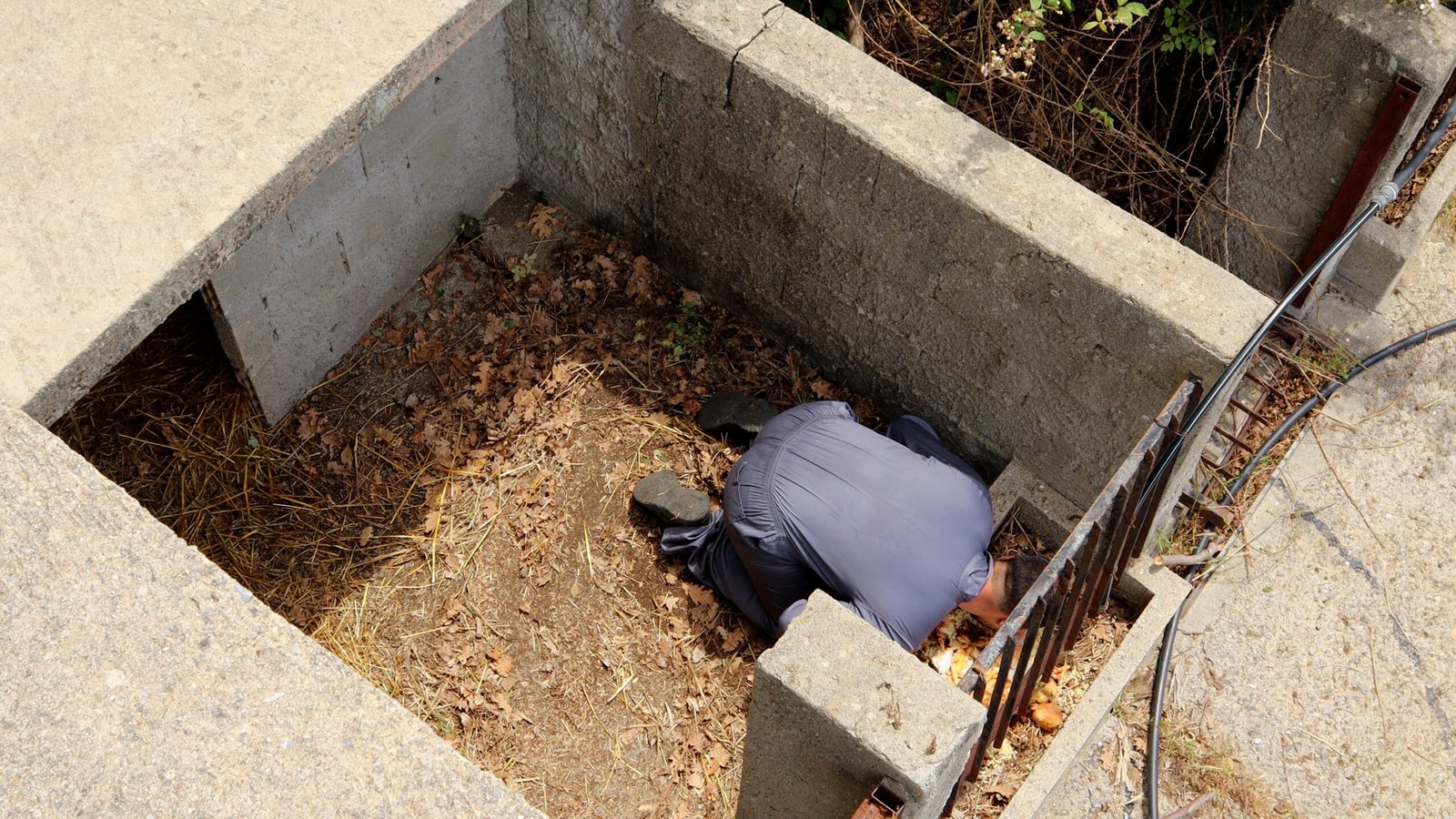 Luca Granato, What if it were like this forever, 2024_ min 8.47