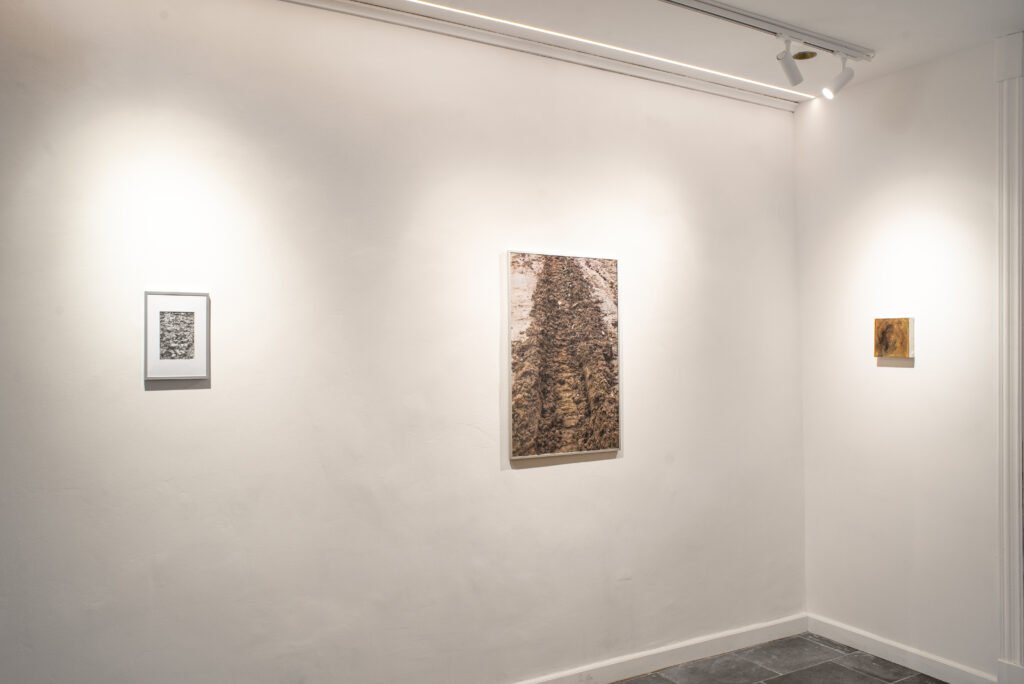 liminale luca granato