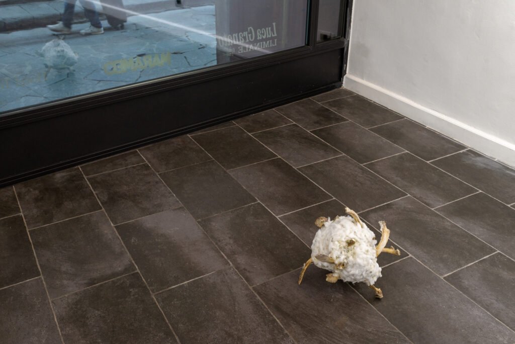 liminale luca granato