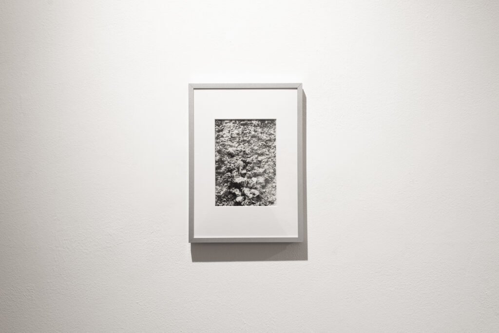 liminale luca granato