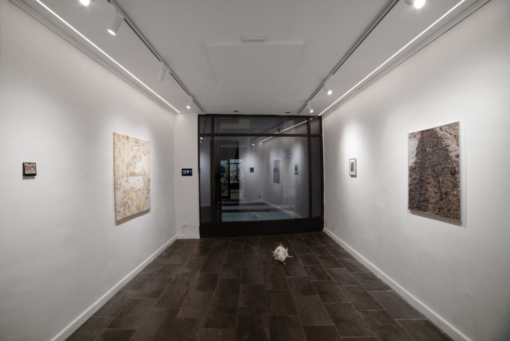 liminale luca granato